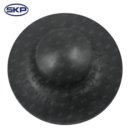 SKP Brake Master Cylinder SKM390285
