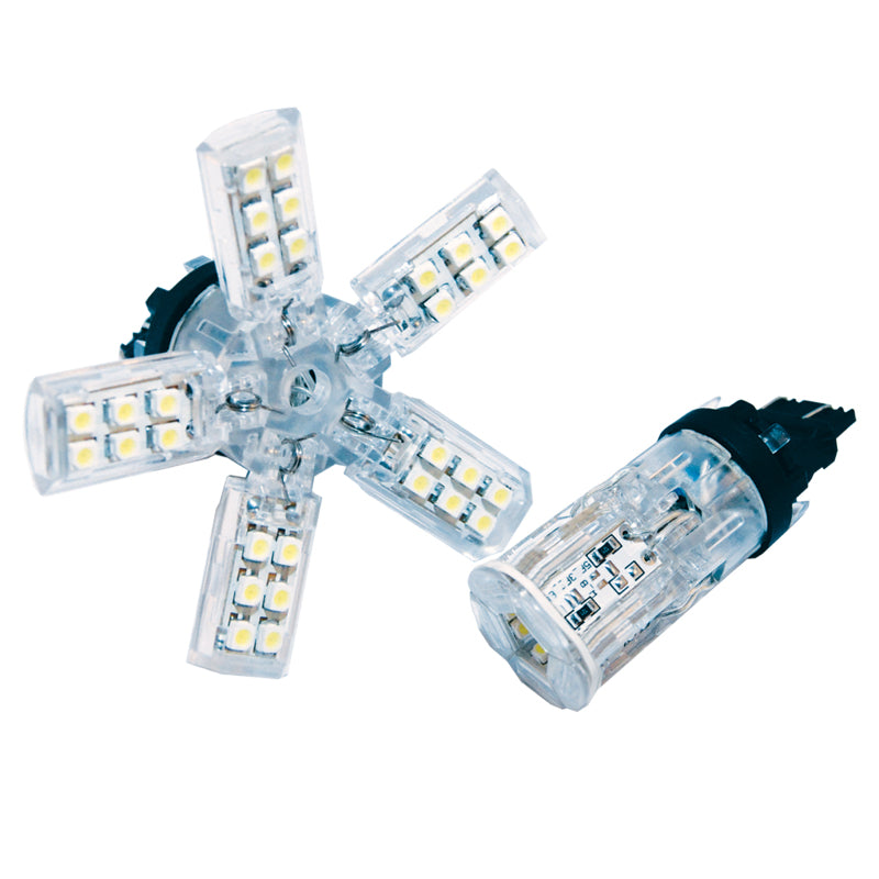 ORACLE Lighting Oracle 7440 24 SMD 3 Chip Spider Bulb (Single) - Cool White 5110-001 5110-001 Photo - Primary