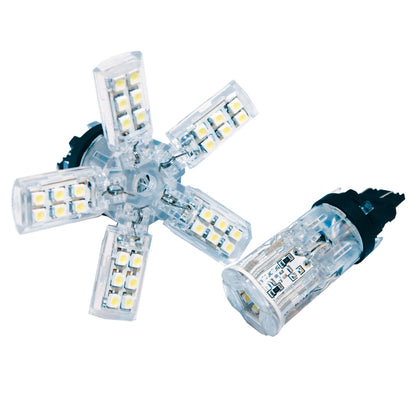 ORACLE Lighting Oracle 7440 24 SMD 3 Chip Spider Bulb (Single) - Cool White 5110-001 5110-001 Photo - Primary