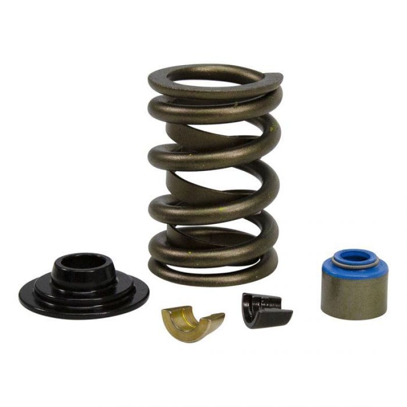 COMP Cams Ford GT40 / GT40P Cylinder Head Valve Spring Kit GT40CS-KIT GT40CS-KIT Photo - out of package