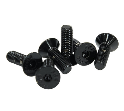 NRG Steering Wheel Screw Upgrade Kit (Conical) - Black SWS-100BK-1 Photo - Primary