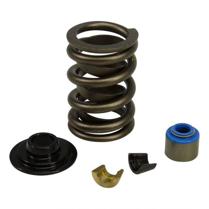 COMP Cams Ford GT40 / GT40P Cylinder Head Valve Spring Kit GT40CS-KIT GT40CS-KIT Photo - out of package