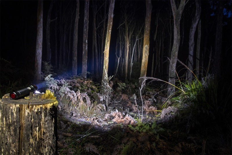 ARB Pureview 800 Flashlight 800 Lumen Flashlight 10500070 10500070 Photo - Primary