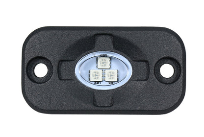 Hella VF RGB Rocker Light 357212001 Photo - out of package