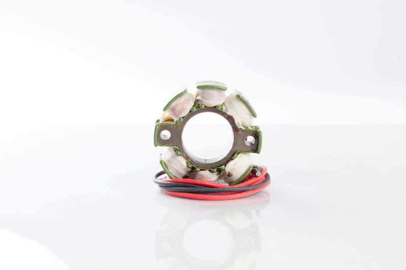 Ricks Motorsport Electrics Ricks Motorsport StatorSuzuki 21-811 21-811 User 1