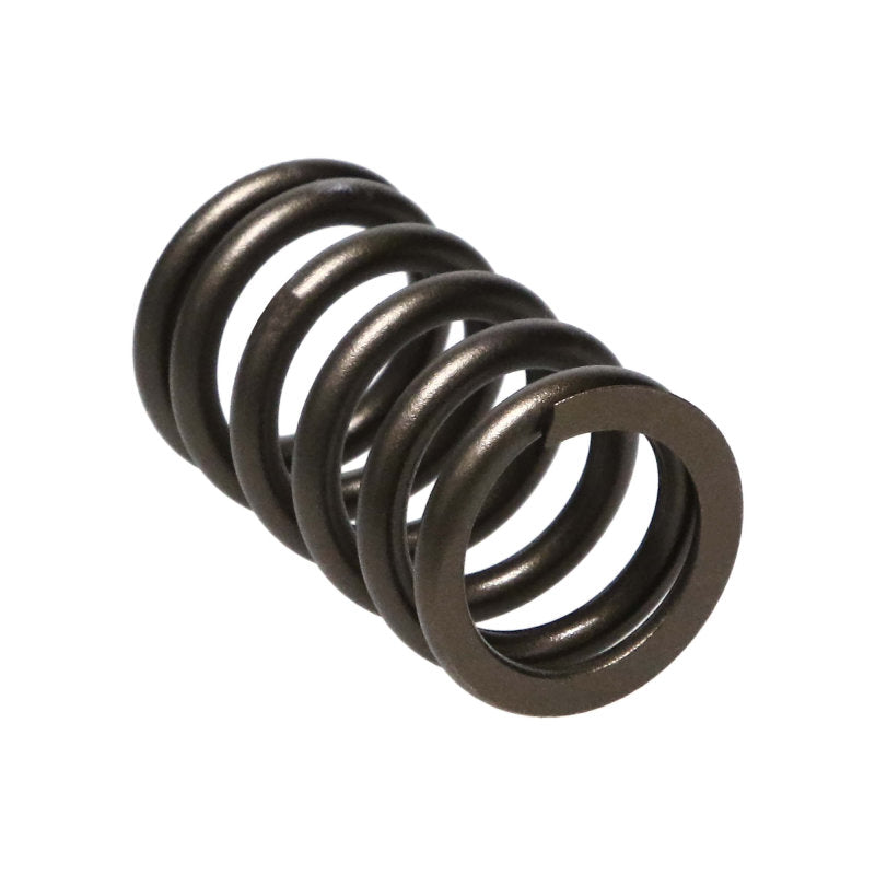 Manley Nissan (SR20DE SR20DET) 16pc Valve Springs 22165-16 22165-16 Photo - Primary