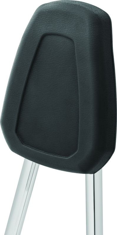 Kuryakyn Sissy Bar For 06-17 Softail 6584 6584 User 3
