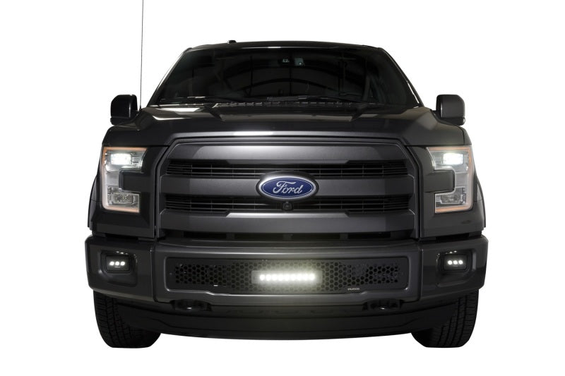 Putco 2015-2017, Ford F150 - Stainless Steel Black Punch Design w/ 10" 88160L Photo - Mounted