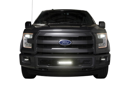 Putco 2015-2017, Ford F150 - Stainless Steel Black Punch Design w/ 10" 88160L Photo - Mounted