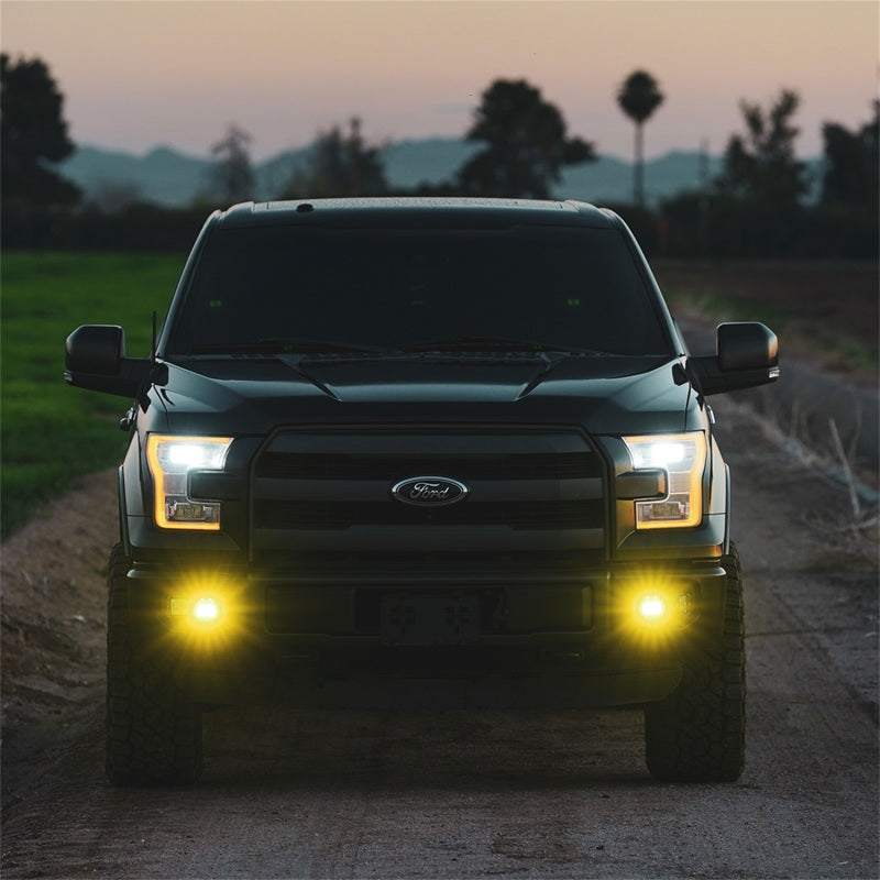 Rigid Industries D-Series SAE Fog Pair 50482 Photo - Mounted