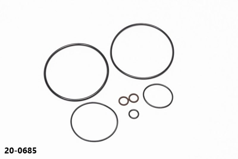 Radium Engineering AOS-R O-Ring Service Kit 20-0685 20-0685 Photo - Primary