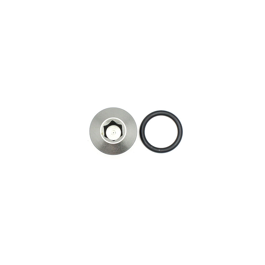 DeatschWerks 6AN ORB Plug, Low Profile w/ Hex