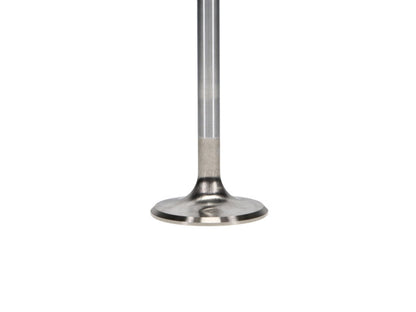 Manley Ford 4.6L/5.4L DOHC 4V 37mm Dia 5.339in Length Bead Loc Race Master Intake Valves (Set of 8) 11616B-8 11616B-8 User 3