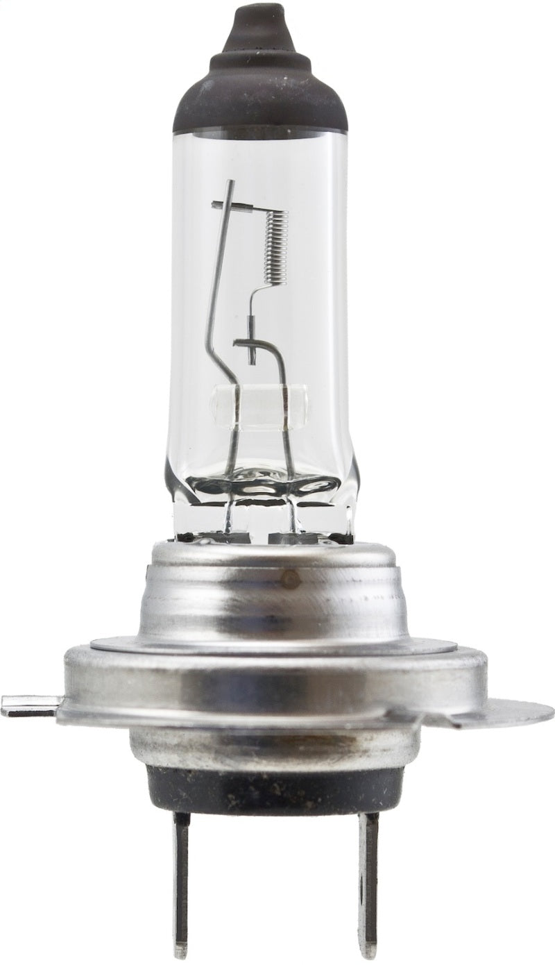 Hella High Wattage Bulb H7 12V 100W PX26d T4.6 H7 100W H7 100W Photo - Unmounted