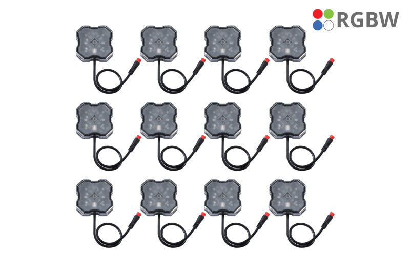Diode Dynamics RGBW Rock Light Installer Magnet Mount Kit w/Controller (12-pack) DD7749C DD7749C User 1