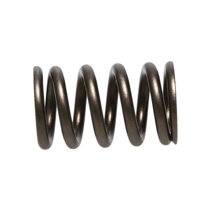 Manley Nissan (RB26DET) 24pc Valve Springs 22175-24 22175-24 User 2