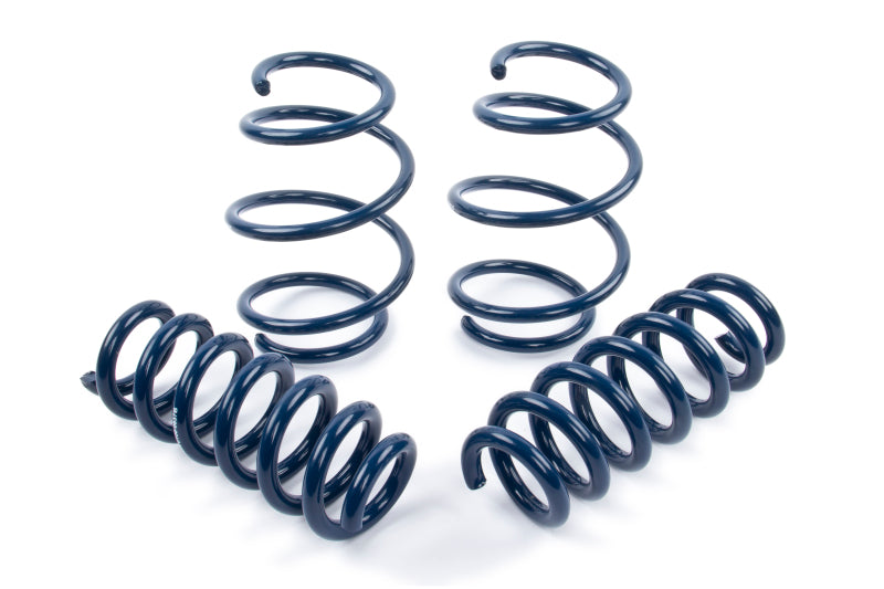 Dinan DNN Coil Springs Suspension Coilover Springs main image