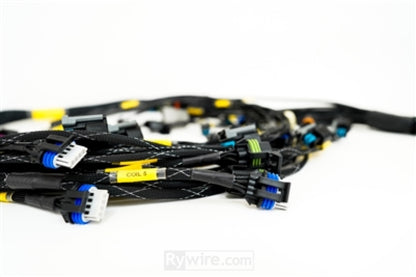 Rywire GM LS3 V8 E38 ECU Engine Harness w/Bosch MAP Option (Req PDM/Fuse Box/Mating Connector) RY-LS3-E38 RY-LS3-E38 User 1