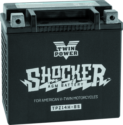 TwinPower Ytx-14 Shocker Battery Tp 781151 781151 Photo - Primary