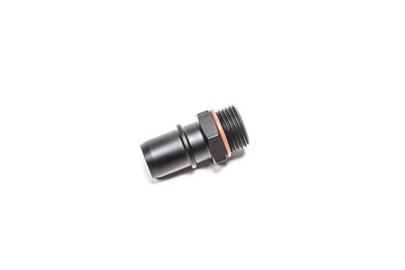 Radium Engineering 10AN ORB To .750 SAE Male 14-0749 14-0749 Photo - Primary