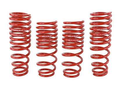 Skunk2 Lowering Springs 92-95 Honda Civic/Del Sol (2.50in - 2.25in.) 519-05-1480 Photo - Unmounted