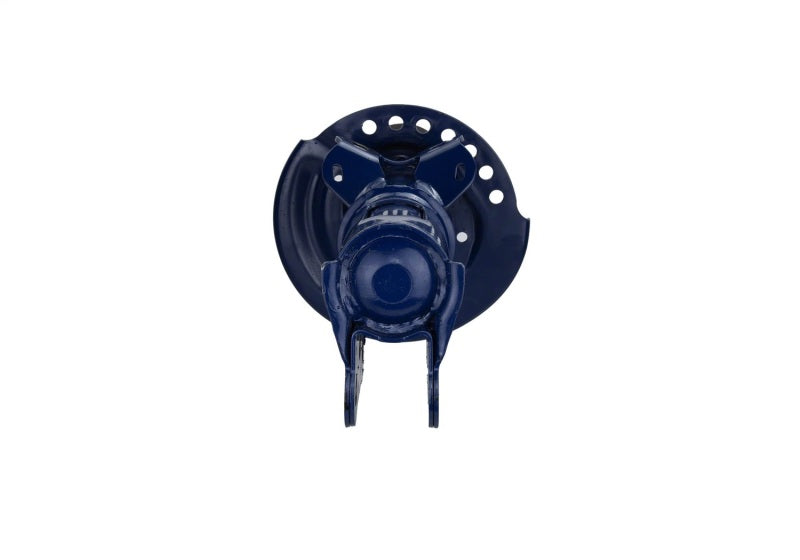 Ford Racing 2015-2017 Mustang FR3 Track Suspension Front Service Strut (Single) M-18001-AG M-18001-AG Photo - Unmounted