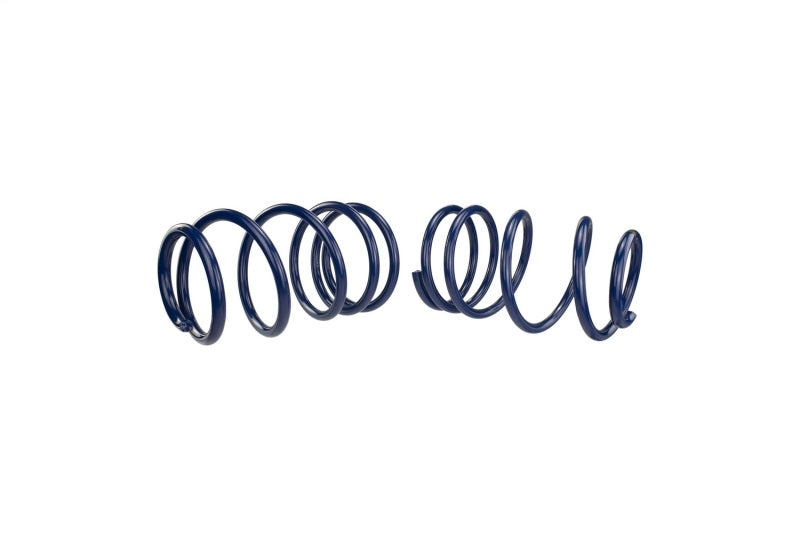 Ford Performance Parts Ford Racing 2007-2014 Mustang Shelby GT500 Springs M-5300-L Photo - Unmounted