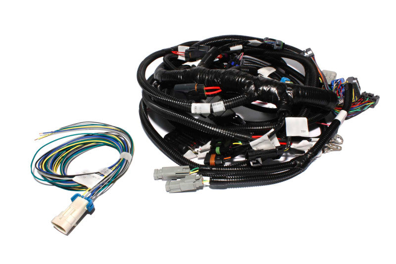 FAST Fuel Management Wiring Harness 301104 Photo - Primary