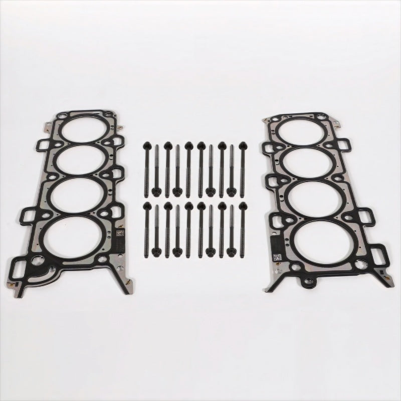 Ford Racing 18-21 5.0L Coyote Head Changing Kit - 12mm Head Bolts M-6067-M5018 M-6067-M5018 Photo - Primary