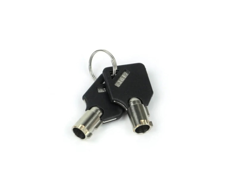Weigh Safe Keys (Identify Key Code) - Set of 2 WS09 WS09 User 1