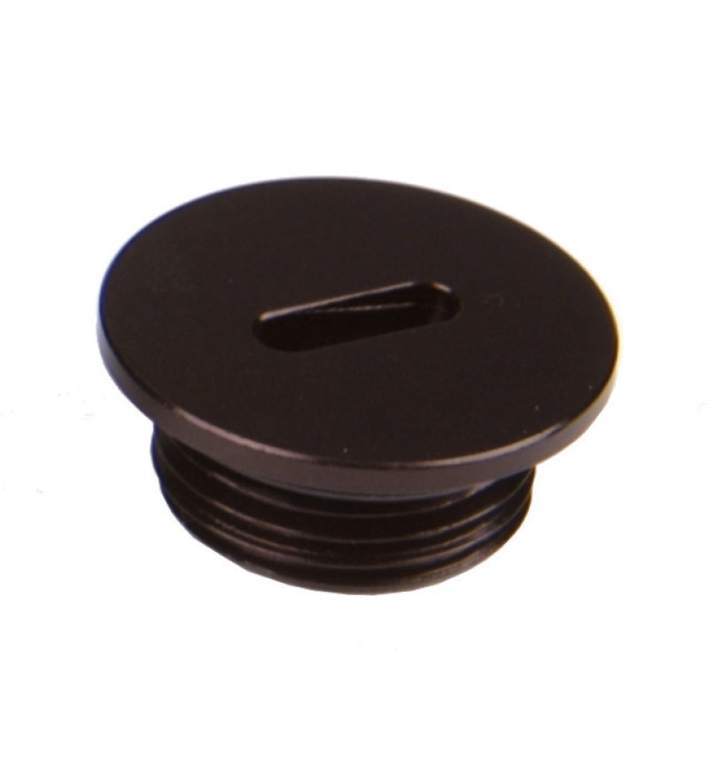 Aeromotive AN-08 O-Ring Boss - Slim Line - Port Plug 15618 Photo - Primary