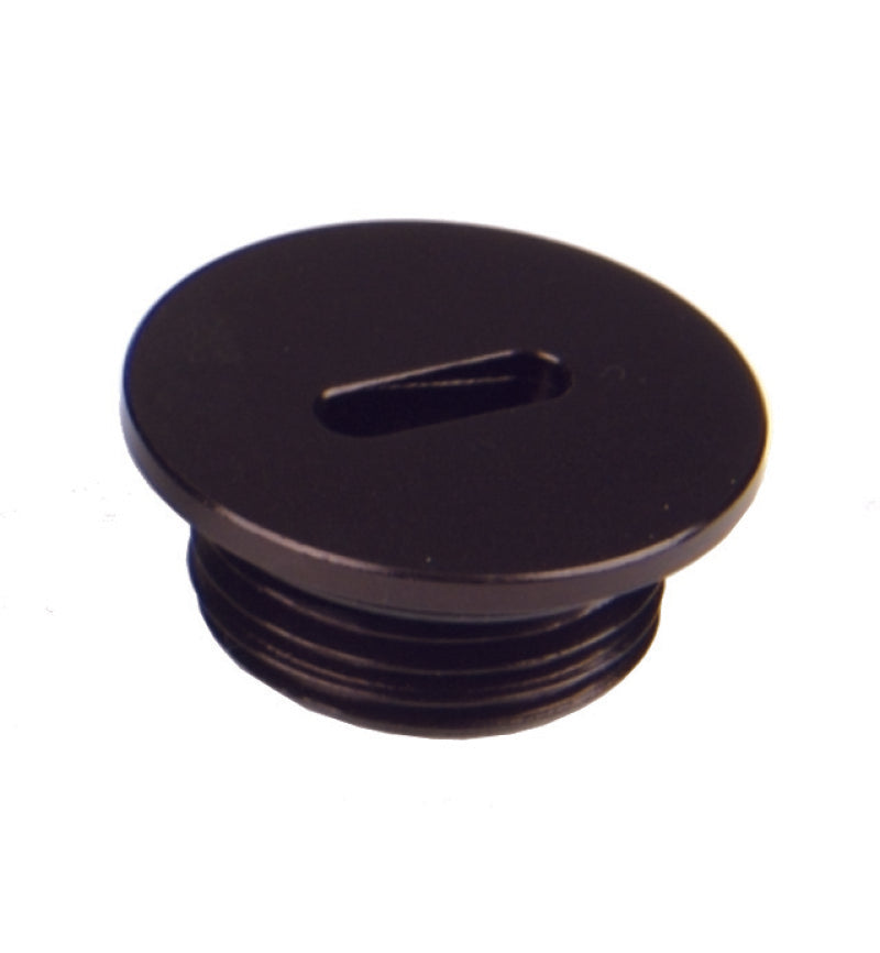 Aeromotive AN-08 O-Ring Boss - Slim Line - Port Plug 15618 Photo - Primary