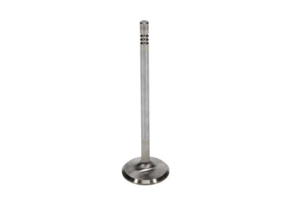 Manley Ford 4.6L 34mm Diameter 117.35mm Length Race Master Exhaust Valves (Set of 8) 11630-8 11630-8 User 2