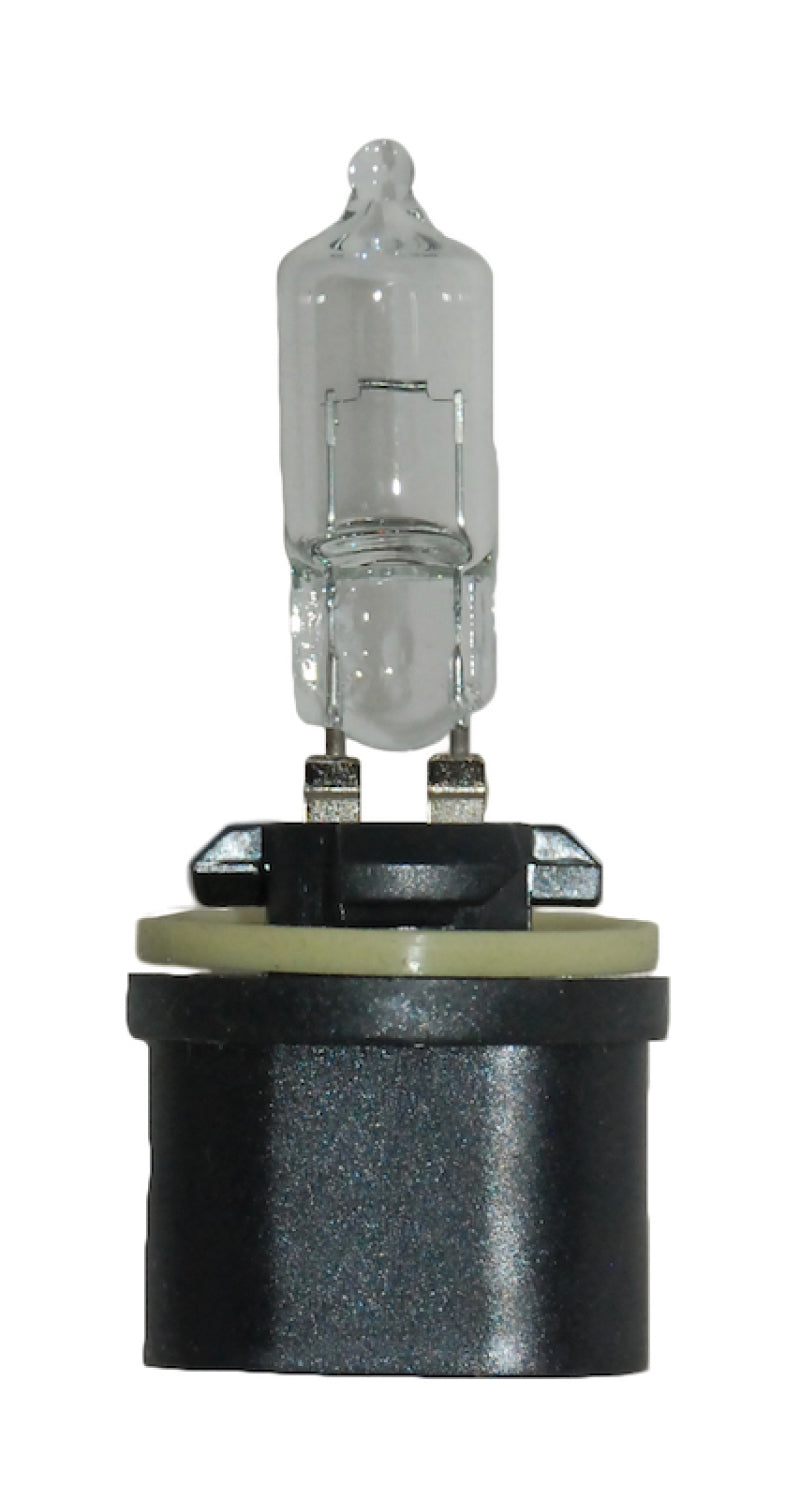 Hella Bulb 890 12V 27W Pg13 T325 890 890 Photo - Primary