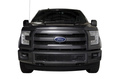 Putco 2015-2017, Ford F150 - Stainless Steel Black Punch Design 88160 Photo - Mounted