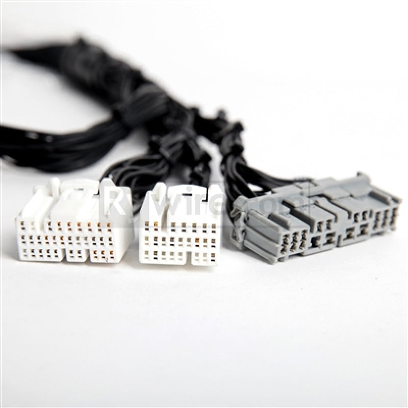 Rywire Honda K-Series Tucked Budget Engine Harness w/OBD2 02-04 RSX K20 Sensor/Firewall VSS RY-K2-BASE RY-K2-BASE Photo - Primary