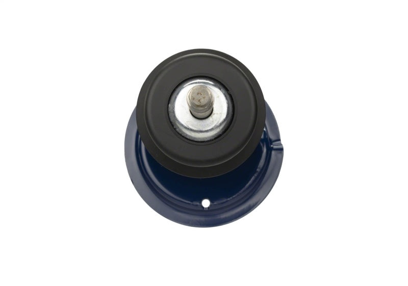 Ford Racing Single Service Replacement Front Strut for M-18000-A M-18001-AF M-18001-AF Photo - Unmounted