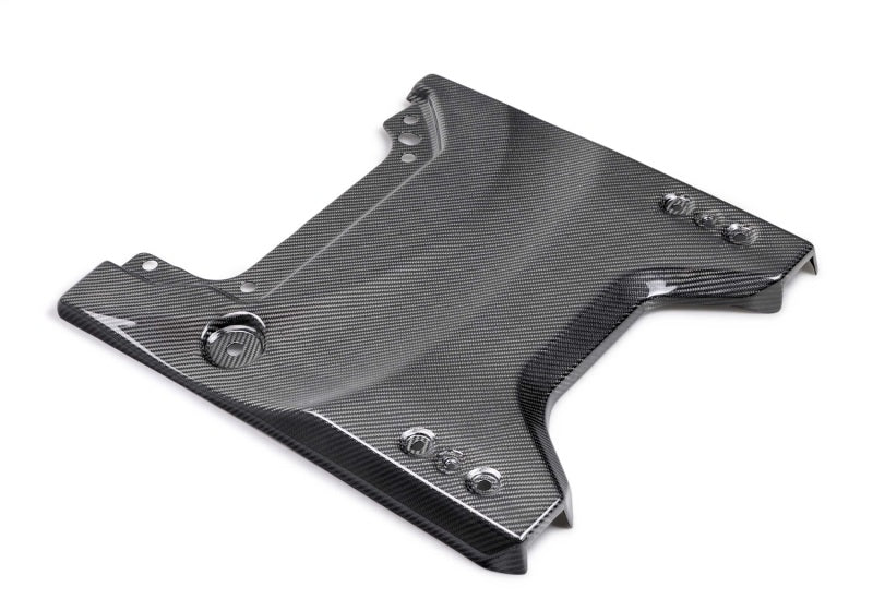 Ford Racing 22-24 Bronco Raptor Carbon Fiver Tailgate Applique - Gloss M-16600-BG M-16600-BG Photo - Primary