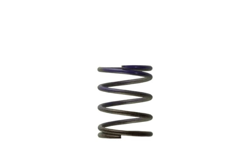 Turbosmart WG40 7PSI Middle Spring Brown/Purple TS-0505-2003 Photo - Primary