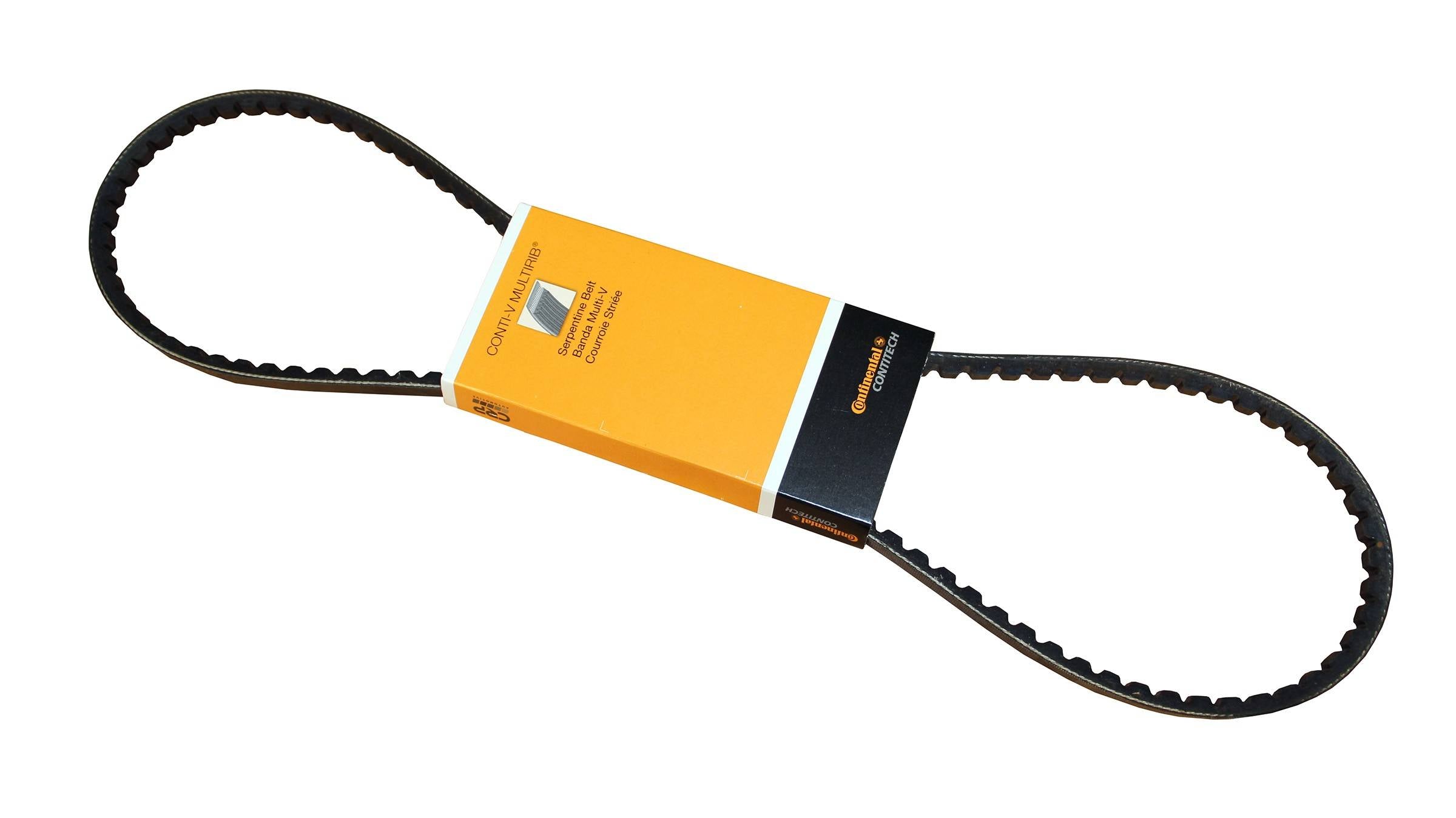 Continental Accessory Drive Belt 10X1100