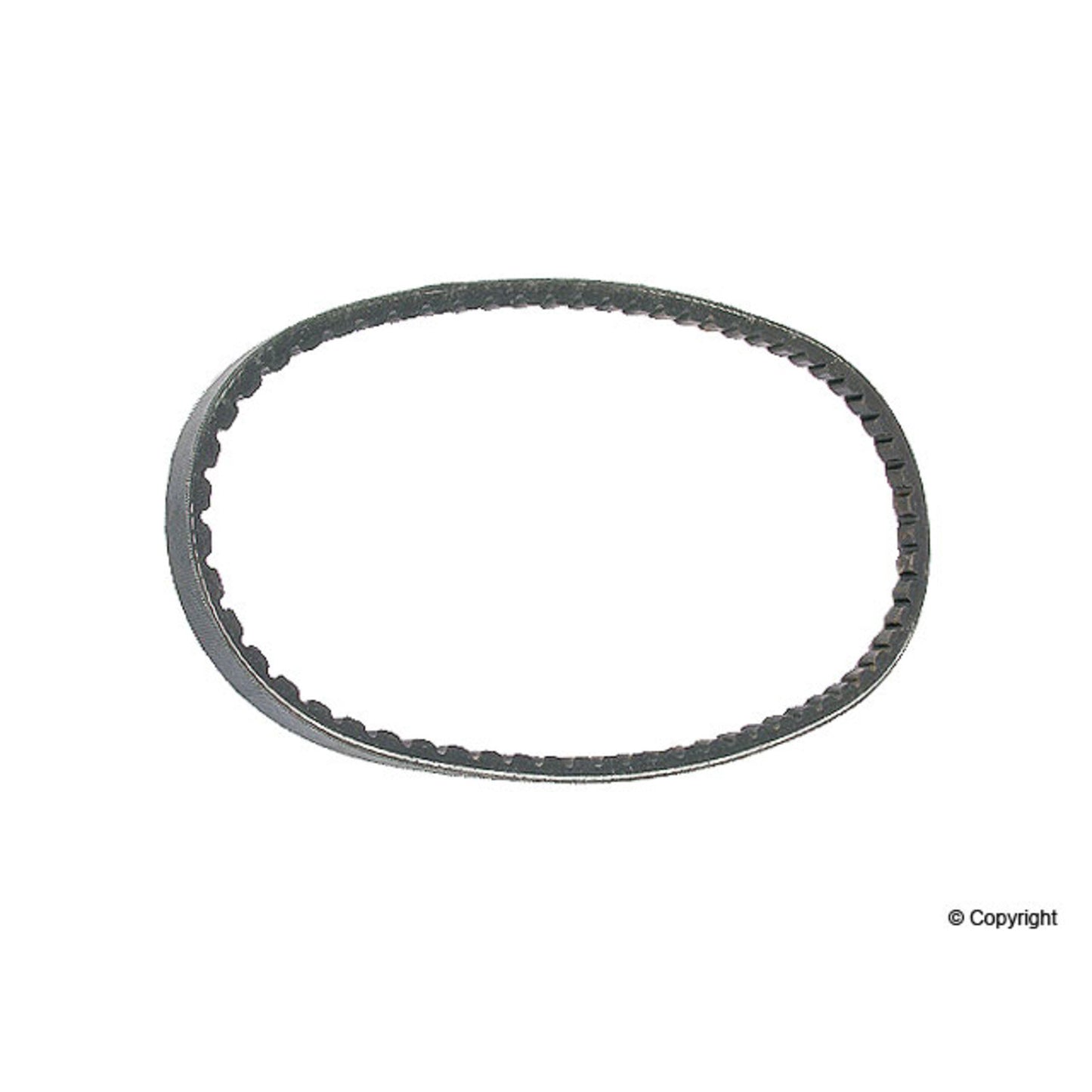 Continental Accessory Drive Belt 10X675
