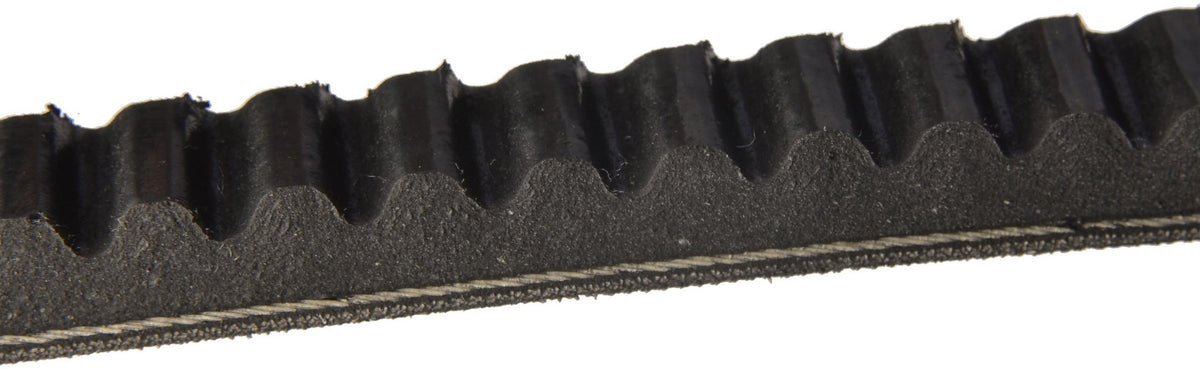 Continental Accessory Drive Belt 10X700