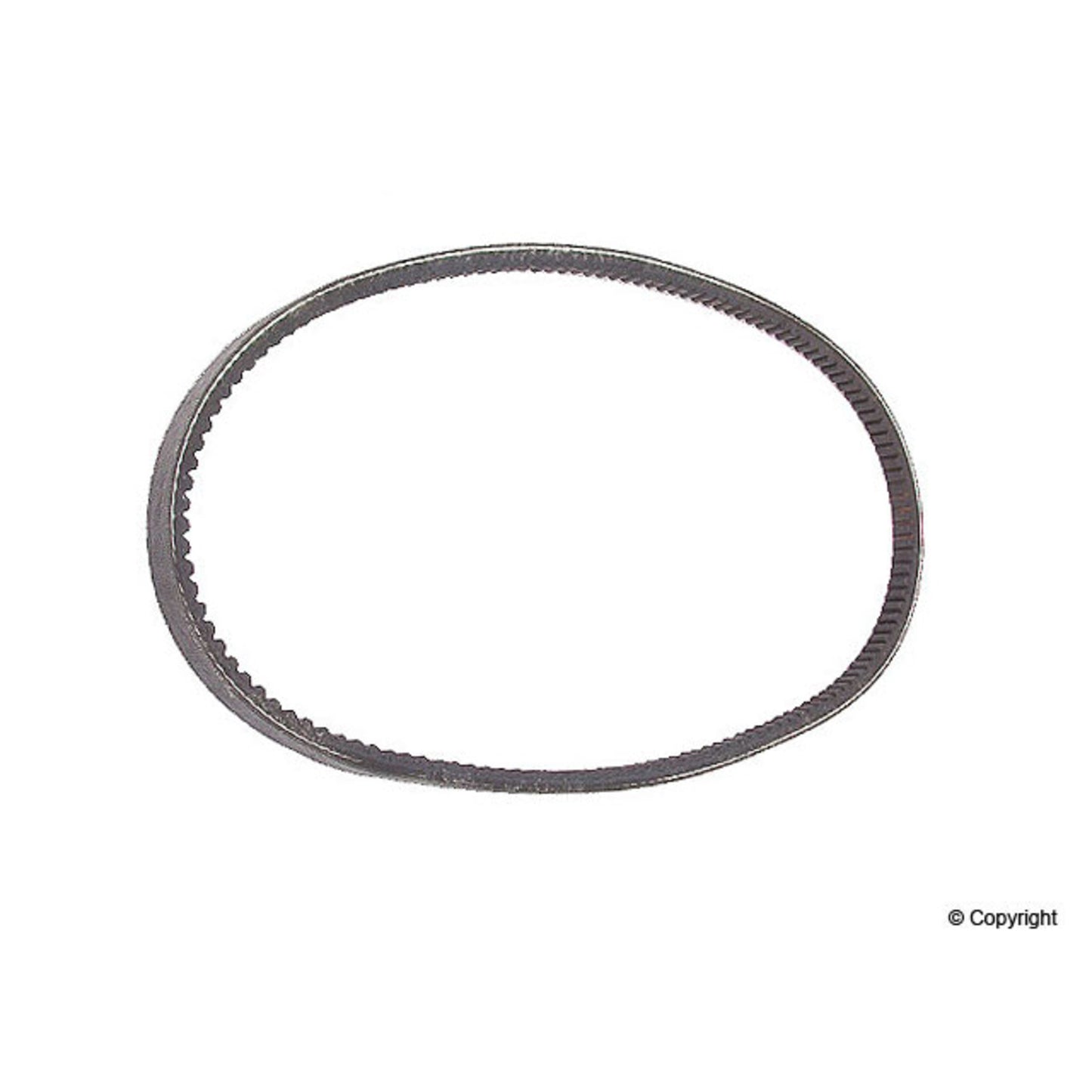 Continental Accessory Drive Belt 10X725