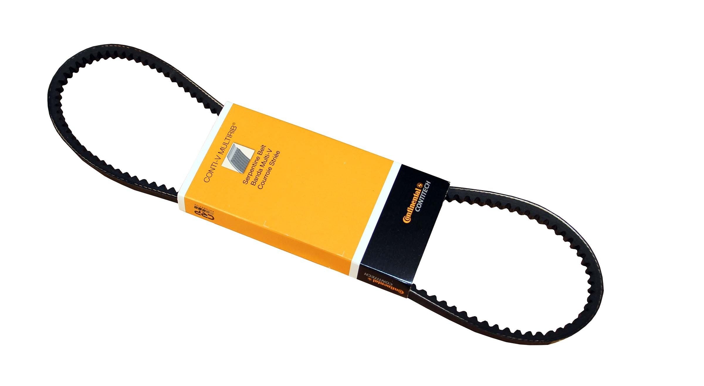 Continental Accessory Drive Belt 10X865