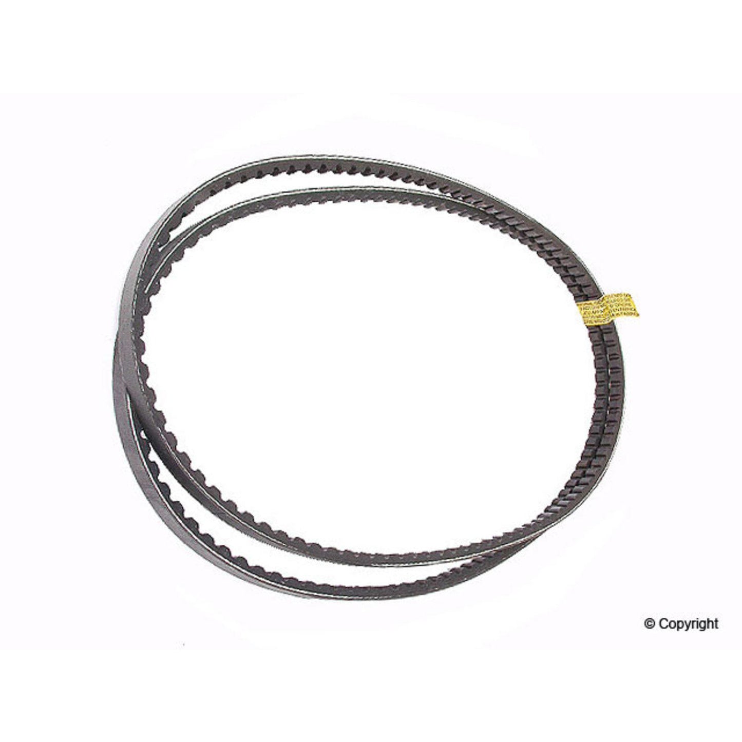 Continental Accessory Drive Belt 10X925SET