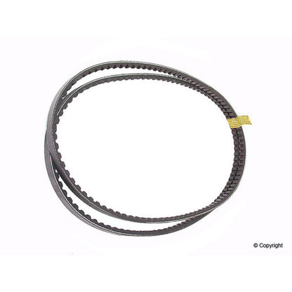 Continental Accessory Drive Belt 10X925SET