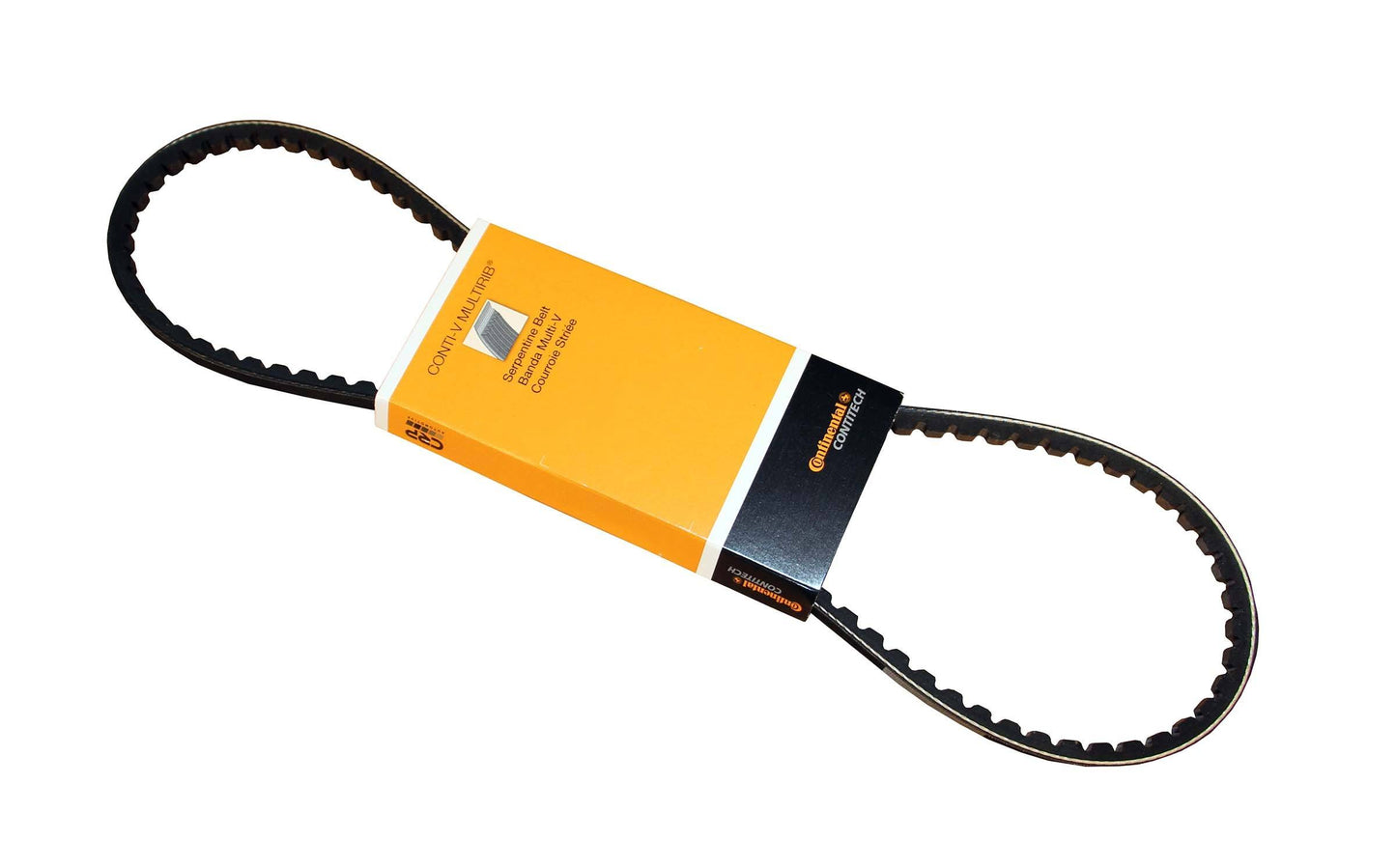 Continental Accessory Drive Belt 10X925