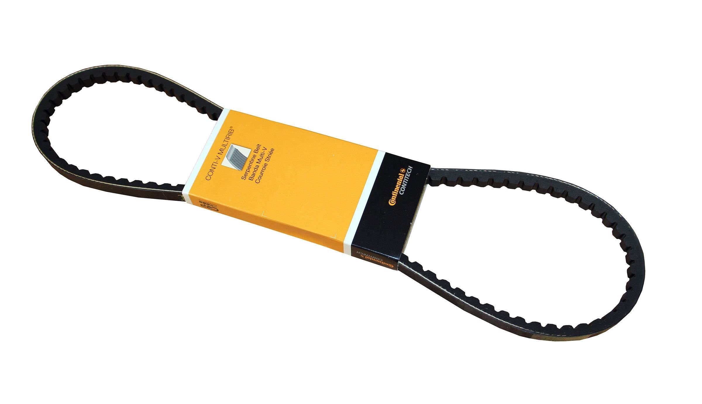 Continental Accessory Drive Belt 13X1000