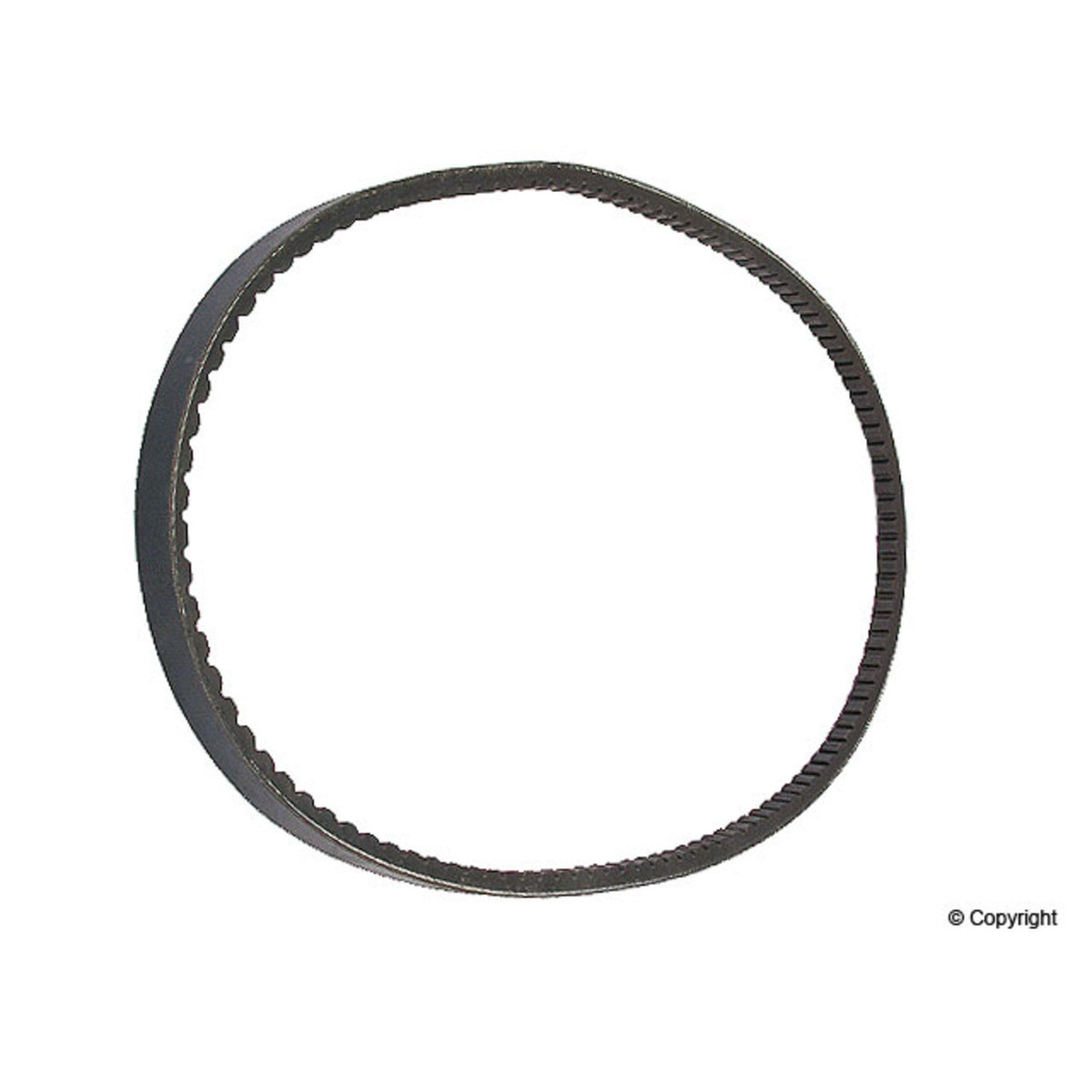 Continental Accessory Drive Belt 13X1165