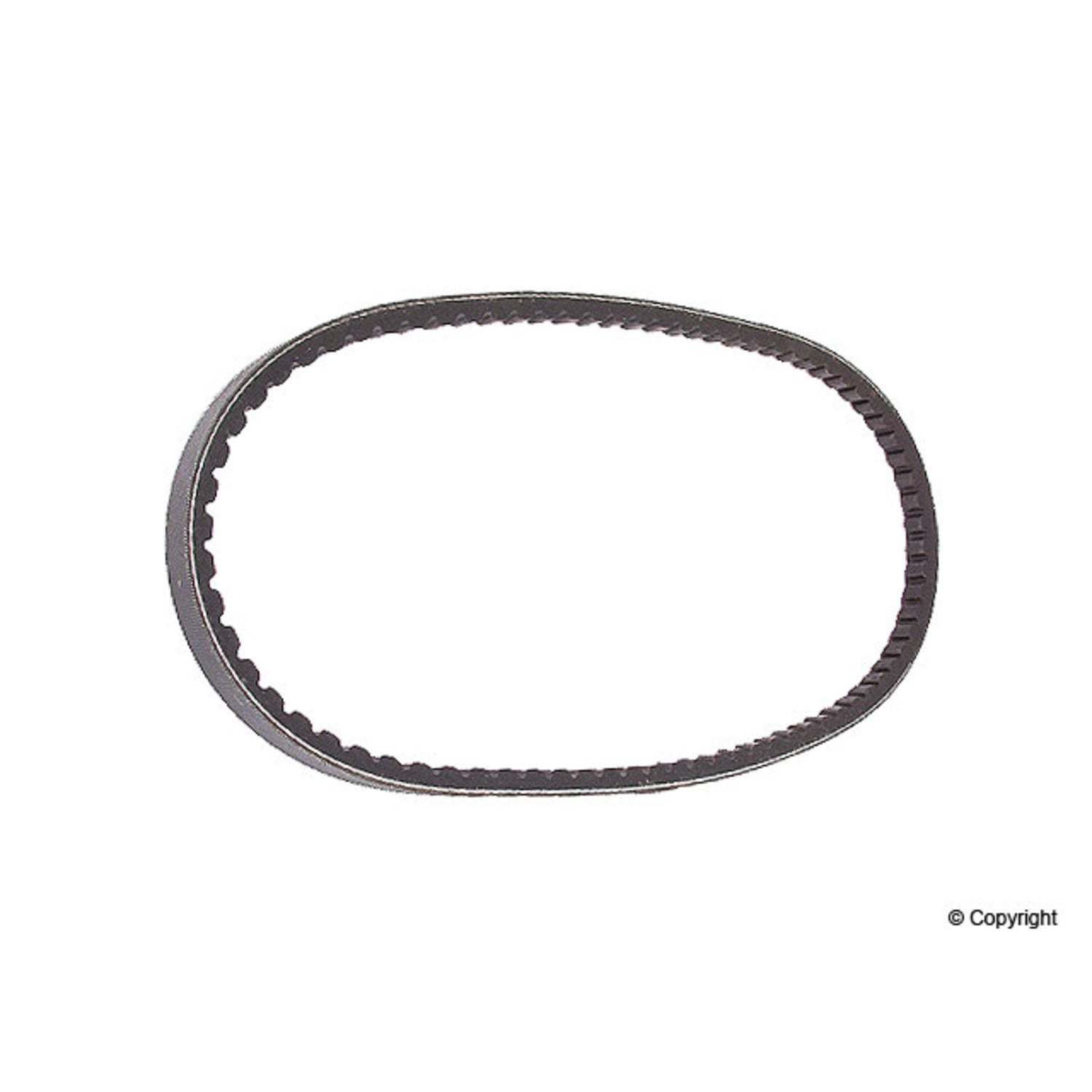 Continental Accessory Drive Belt 13X818